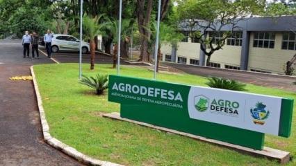 A Agrodefesa vai alugar 181 veículos por R$ 11,75 milhões