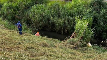 A Prefeitura de Goiânia intensifica a roçagem e a remoção de lixo em cinco córregos da cidade