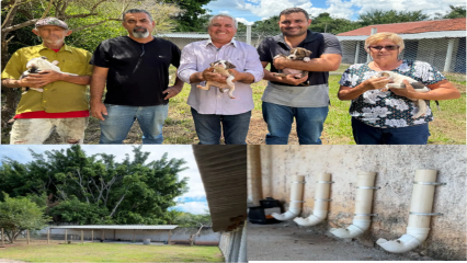 ão Miguel do Passa Quatro inaugura abrigo para cães em situação de rua
