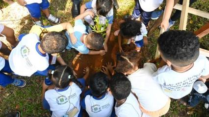 Goiânia é reconhecida como uma das cidades mais arborizadas do Brasil