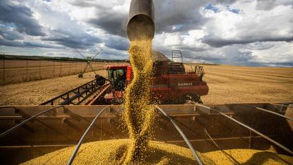 Goiás alcança safra recorde de 33,7 milhões de toneladas em 2025
