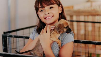 Prefeitura de Senador Canedo lança portal para adoção de animais e serviços do Bem-Estar Animal